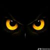 user73511irmansaputra1