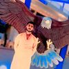 zafariqbal_305