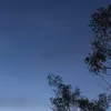ddilaraa_231