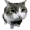ransom0zzz