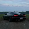 murderedoutcatfish