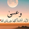 amalfathy948