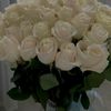 beyazgul_56u_67
