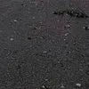 gemita_280272