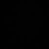 l_p6s