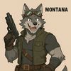 montana2093