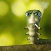 somesmokingcaterpillar