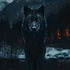 wolfy_s_