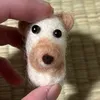 piposuke20001123