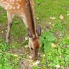 tiktokprincess97