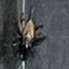 crispycrickets15