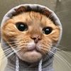 samantha_150124.jdv