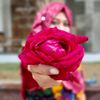 rokib.khan586