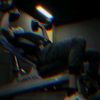 a3_vleid_wilson