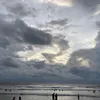_annh01