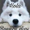 user7409311330530