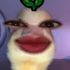 jhomcbt