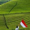 duren117