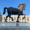 johana.lgn