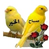 waleedalbulushi2