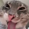 oiuytrewqla
