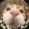 tlinq_27