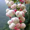 user1341916210156