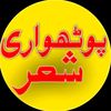 پوٹھواری سیفی 🎸🎸❤️