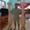 user1701741592652