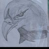 user64p1zxcrwg
