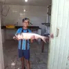 borrachariacoxilha0