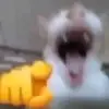 peopleplaygroun02