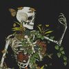 dysphora_as.a.person
