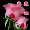 user88404561754430