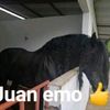 juanemo63528
