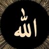 usert8hny33ky3