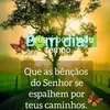 user25271863122700
