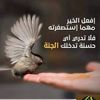 mohamedoubouya7