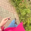 ankordi4