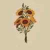 17sunflowersup