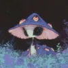 alliumsystem11