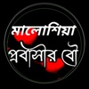 chadnikhatun4727