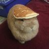 don_pancho82727