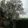 parcela45huachera