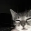Mew'jv
