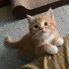 qwerty_2505