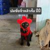 jiwliu_finfin88