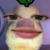 kanaya9118