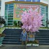 thanhdanh8766