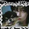 tae_v_1995_z